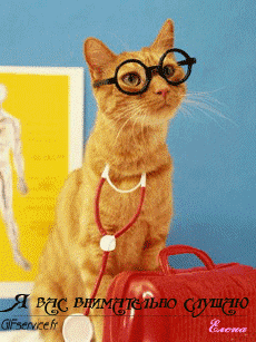 Humor -  Fun Tiere Katze 04 