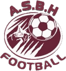 Sports Soccer Club France Centre-Val de Loire 45 - Loiret AS Baccon Huisseau 