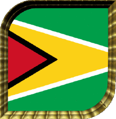 Fahnen Amerika Guyana Plaza 