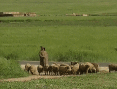 Multimedia Canali - TV Francia Voyage Jingle Pub 