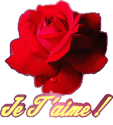 Nachrichten Französisch Je T'aime 01 