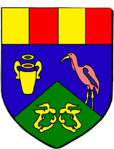 Bandiere Francia Dipartimenti - Città 973 IRACOUBO 