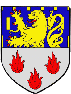 Blason-Drapeaux France Départements - Villes 70 GRAY Blason
