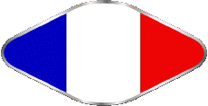 Banderas Francia Nacional Oval 