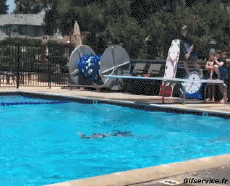 Umorismo -  Fun Sportivo Tuffo Cadute - Fail 