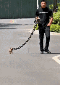 Humor -  Fun Auf der Straße Mix 03 