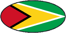 Banderas América Guayana Oval 