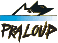 Sports Ski - Resorts France Southern Alps Pra Loup 