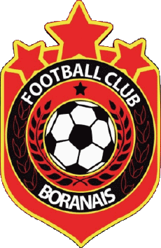 Deportes Fútbol Clubes Francia Hauts-de-France 60 - Oise FC Boran 