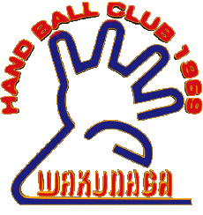 Sport Handballschläger Logo Japan Wakunaga 