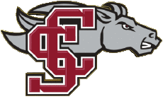Sport N C A A - D1 (National Collegiate Athletic Association) S Santa Clara Broncos 