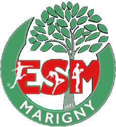 Sports Soccer Club France Centre-Val de Loire 45 - Loiret ESM Entente Sportive Marigny 