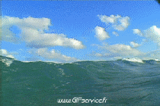 Humor -  Fun Places Sea 