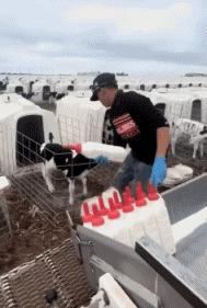 Humor - Fun GENTE En el trabajo Fun - Win 03 