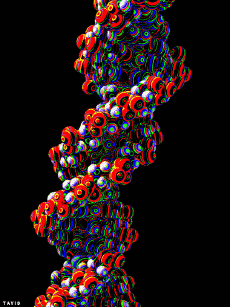 Humor -  Fun GIF Artists Bill Tavis 