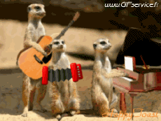 Humor -  Fun Tiere Suricat 01 