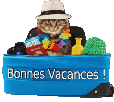 Messages French Bonnes Vacances Transparent Background 12 