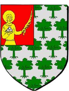 Drapeaux France Départements - Villes 82 SAINT ETIENNE DE TULMON 