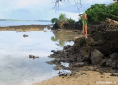 Humor -  Fun PEOPLE Like Tarzan Fail 