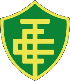 Sportivo Calcio Club America Logo Brasile Espírito Santo Esporte Clube Tupy 