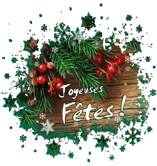 Nachrichten Französisch Joyeuses Fêtes (Noël) Serie 06 