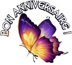 Nachrichten Französisch Bon Anniversaire Papillons Transparenter Hintergrund 001 