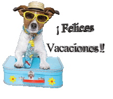 Messages Espagnol Felices Vacaciones Fond Transparent 29 