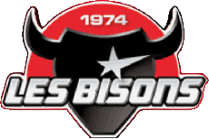 Sportivo Hockey - Clubs Francia Neuilly-sur-Marne 93 Bisons 