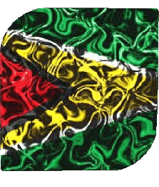 Drapeaux Amériques Guyana Carré 