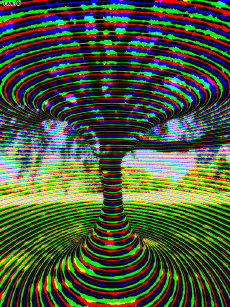 Humor - Fun GIF Artista Bill Tavis 