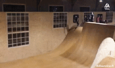 Humor - Fun Transporte Patineta Fail 