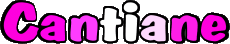 Vorname WEIBLICH - Frankreich C Cantiane 
