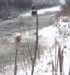 Humor - Fun Transporte Motocicleta de nieve Fail 