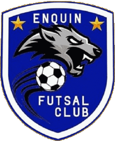 Deportes Fútbol Clubes Francia Hauts-de-France 62 - Pas-de-Calais Enquin Futsal CLUB 