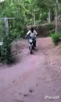 Humor -  Fun Transport Motorcycles Road - Fail 