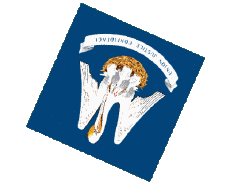 Bandiere America U.S.A - Stati Louisiana Sfera - Cubo 