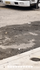 Humor -  Fun Transport Trucks Fun -  Win 