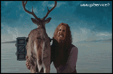 Humor - Fun Animales Ciervo - Cervatillo 01 