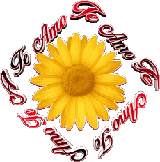 Messages Spanish Te Amo 02 