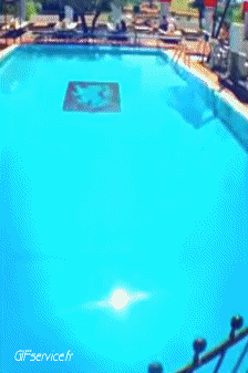 Humor -  Fun OBJEKTE Smart Phone 