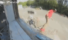 Humor -  Fun Sports Skateboard Free Style Fail 01 