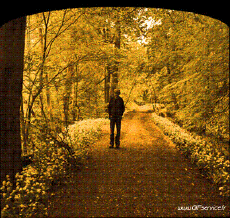 Humor -  Fun 3d Effects Stéreoscopique Wiggle 