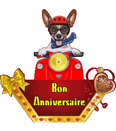 Messages Français Bon Anniversaire Animaux 010 