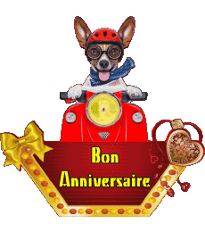 Messages French Bon Anniversaire Animaux 010 