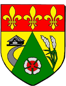 Drapeaux France Départements - Villes 974 TROIS BASSINS 