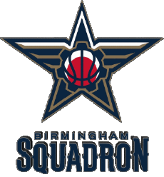 Sportivo Pallacanestro U.S.A - N B A Gatorade Birmingham Squadron 