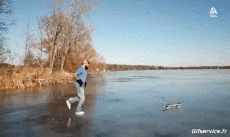 Humor - Fun Deportes Skateboard Free Style Fun - Win 01 