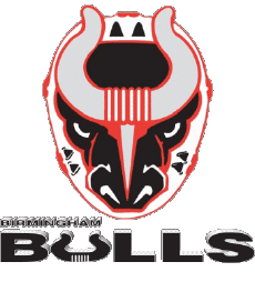 Sports Hockey - Clubs U.S.A - S P H L Birmingham Bulls 