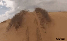 Umorismo -  Fun Trasporti Quad Fail 