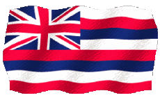 Fahnen Amerika U.S.A - States Hawaii Welligkeit 